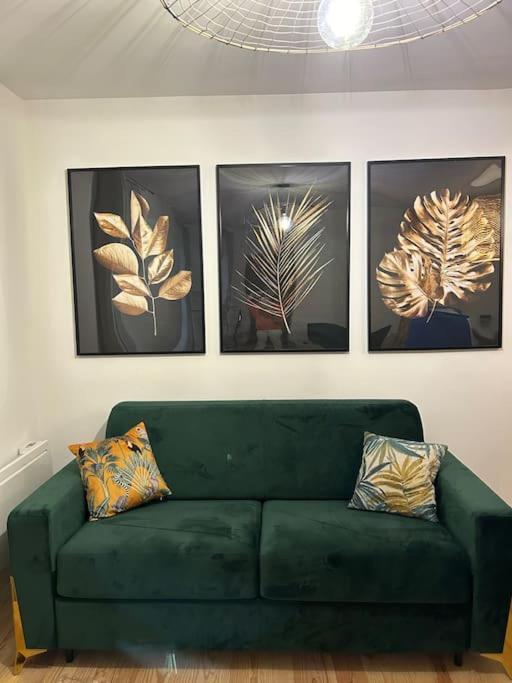 Appartement Le Floral à Carcassonne Extérieur photo