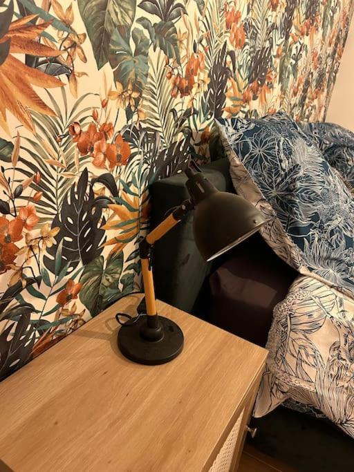 Appartement Le Floral à Carcassonne Extérieur photo